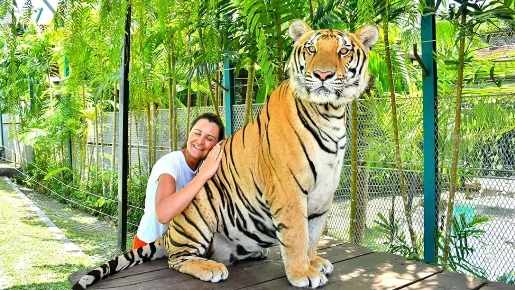Thailand Package 30 Nov 03 Pax