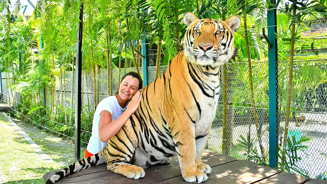 Thailand Package 30 Nov 03 Pax