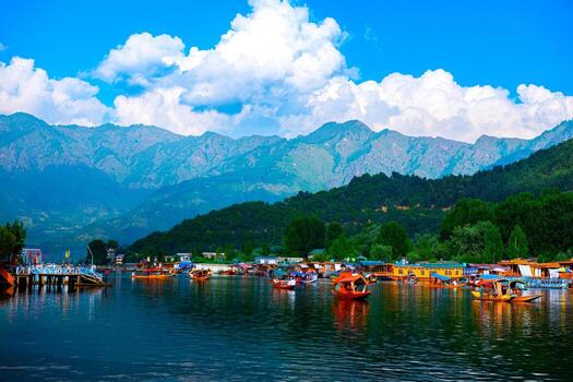 Kashmir Package