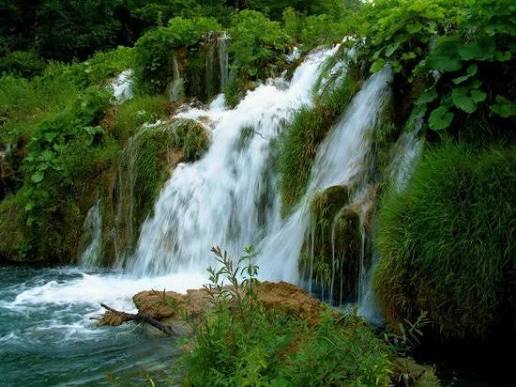 Meghalaya Living Roots Expedition