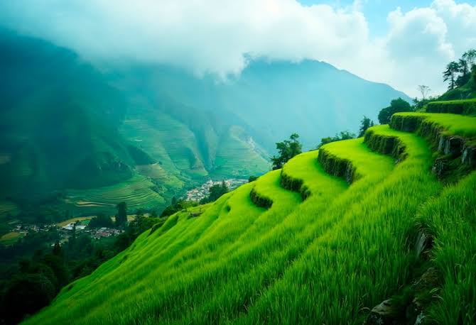 Kerala 7 Nights 8 Days 2025