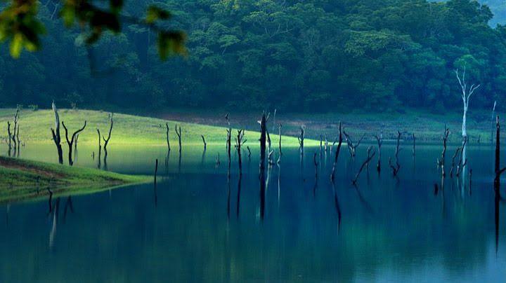 Kerala 7 Nights 8 Days 2025