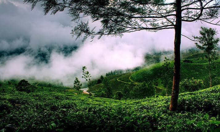 Kerala 6 Nights 7 Days 2025