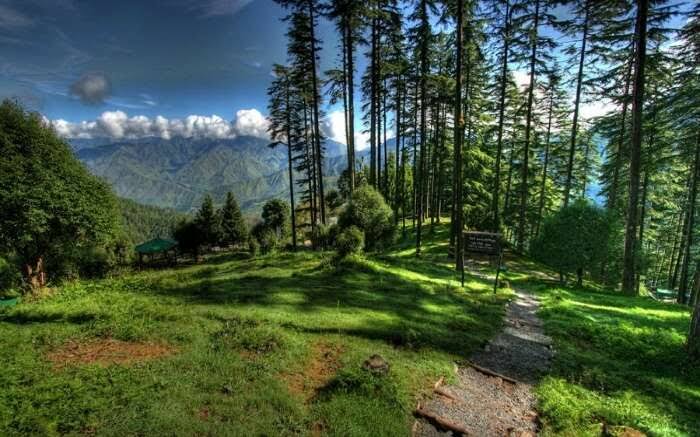 Uttrakhand 4 Night 5 Days