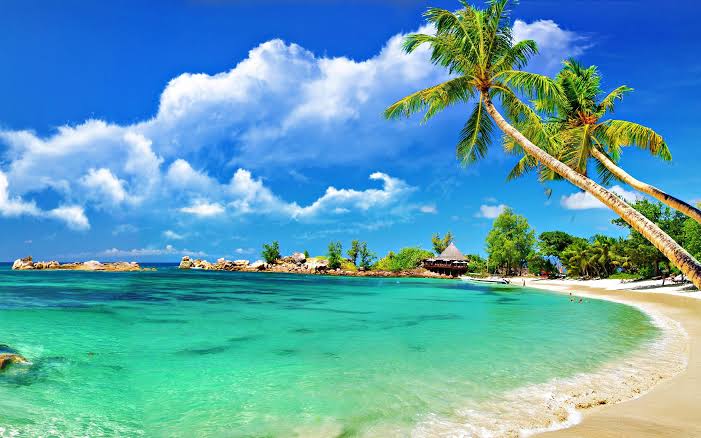 Goa Package 3N 4D