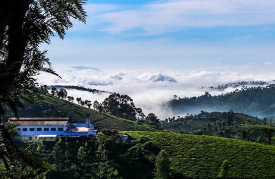 Coorg Ooty Mysore with Coonoor