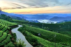 Coorg Ooty Mysore with Coonoor