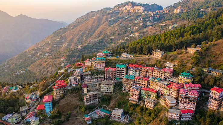Advodate Group Special Tour Shimla Narkanda