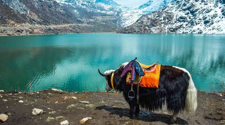 2026 Sikkim 7 Night 8 Days