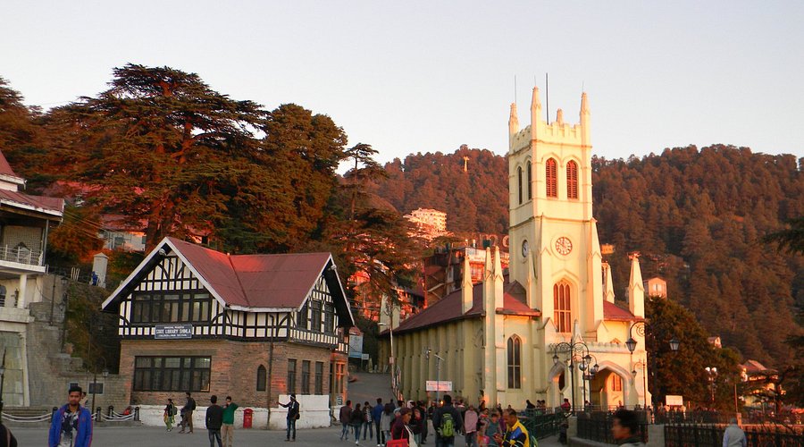 Advodate Group Special Tour Shimla Narkanda